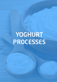 Yoghurt Processes